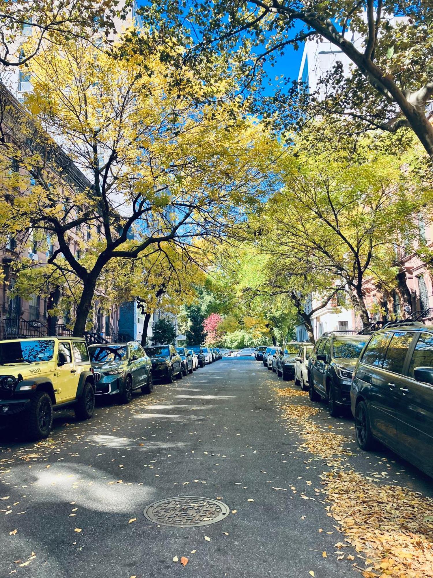 Bed and Breakfast Harlem Grand Нью-Йорк Экстерьер фото