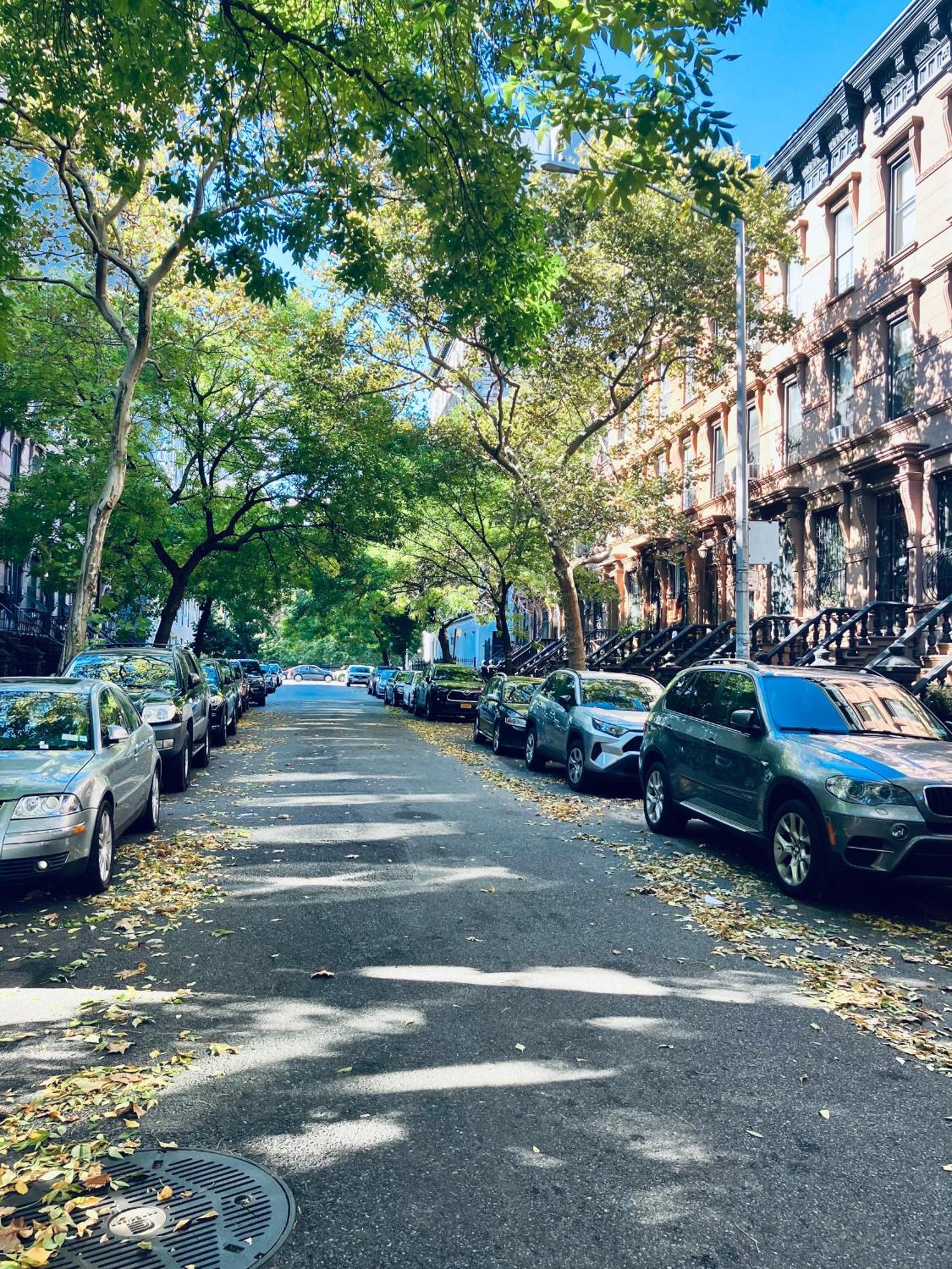 Bed and Breakfast Harlem Grand Нью-Йорк Экстерьер фото