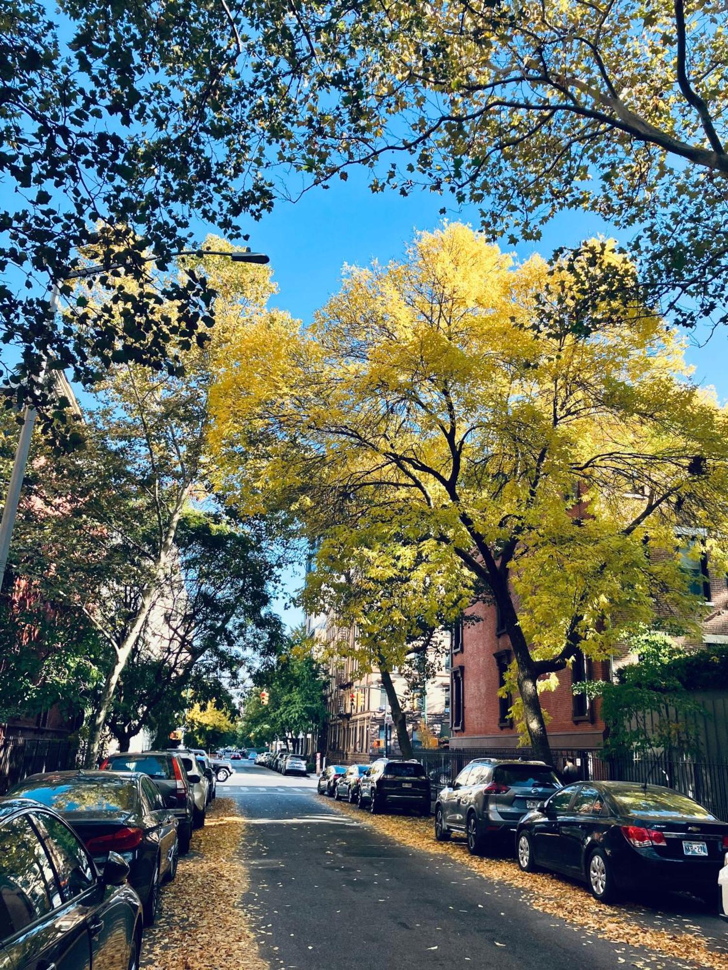 Bed and Breakfast Harlem Grand Нью-Йорк Экстерьер фото